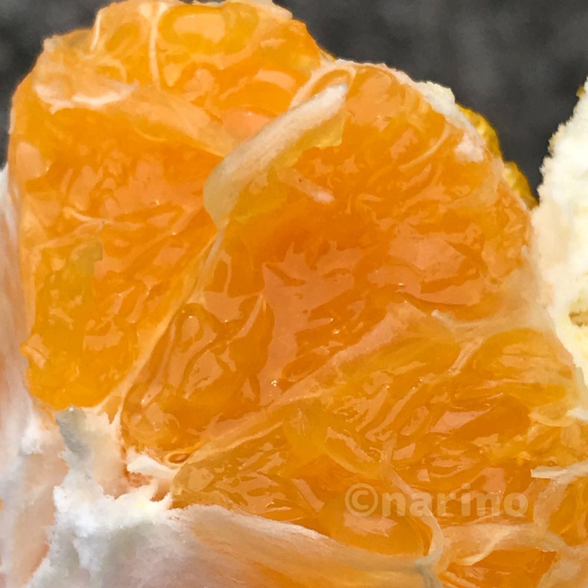 明るい不知火の房のアップ。果肉の自然な筋模様が光を反射し、周囲に白い薄皮。