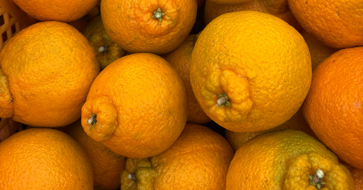 籠に積まれた熟したオレンジの寄り写真。表面の細かな凹凸と茎周りの突起が見え、明るい背景に映える