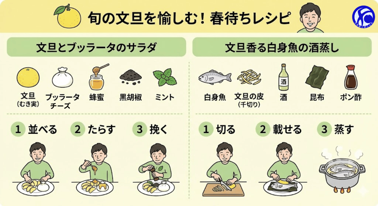 1. 文旦とブッラータのサラダ(Buntan & Burrata Salad) 「苦味と甘みのマリアージュ」 🛒 材料(アイコン) 文旦(むき実) / ブッラータチーズ / 蜂蜜 / 黒胡椒 / ミント 👨🍳 3 STEP で完成 並べる: 皿に文旦とチーズを贅沢に盛り付ける。 たらす: 蜂蜜をチーズの上から優しく回しかける。 挽く: 仕上げに黒胡椒を多めに挽き、ミントを添える。 💡 Point: 冷蔵庫で冷やしたチーズを使うのがコツ。 文旦の「ほろ苦さ」が蜂蜜の甘みを引き立てます。 2. 文旦香る白身魚の酒蒸し(Steamed Fish with Buntan Peel) 「蒸気とともに広がる優雅な香り」 🛒 材料(アイコン) 白身魚(真鯛や鱈) / 文旦の皮(千切り) / 酒 / 昆布 / ポン酢 👨🍳 3 STEP で完成 切る: 文旦の皮(黄色い部分のみ)を細い千切りにする。 載せる: 昆布を敷いた皿に魚を置き、その上に皮をたっぷり載せる。 蒸す: 酒を振り、蒸し器(またはレンジ)で火が通るまで蒸し上げる。 💡 Point: 皮は「黄色い部分」だけを使うことで、苦味を抑えて香りを楽しめます。 春の訪れを感じる、上品な香りの一皿。