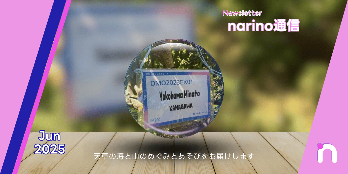 narino通信｜Jun2025