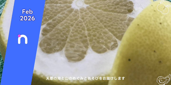 読者の皆様には「天草の文旦」の先行予約リンクを掲載しています。 